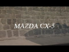 Όχημα βενζίνης