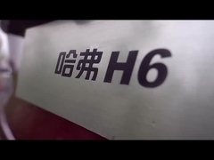 Υψηλής ταχύτητας HAVAL H6 2023 Compact SUV Η απόλυτη επιλογή για την αγορά οχημάτων καυσίμου